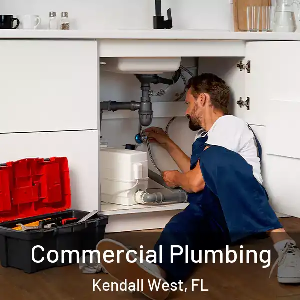  Commercial Plumbing Kendall West, FL