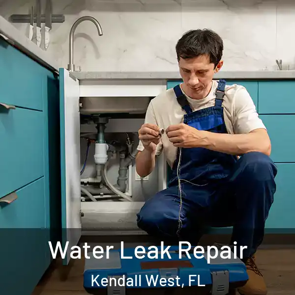  Water Leak Repair Kendall West, FL